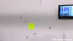 Laboratory Games: X-Acto Blade Throwing thumbnail